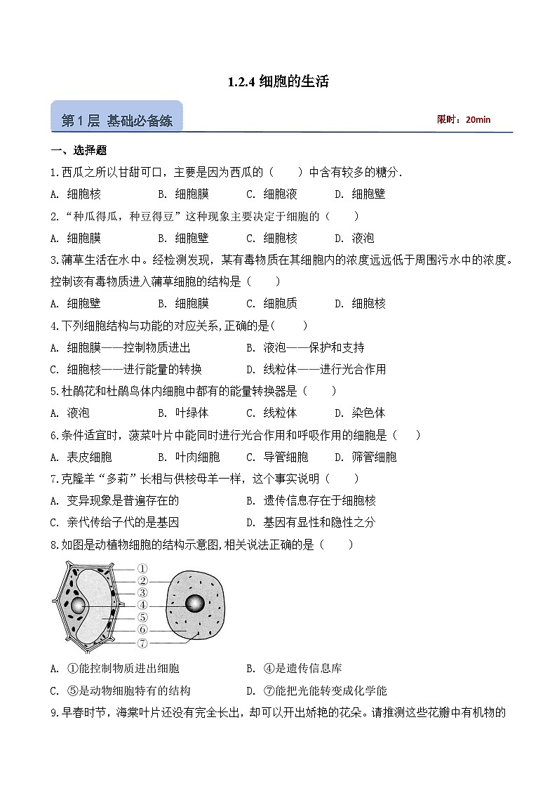 【核心素养】人教版生物七年级上册 1.2.4 细胞的生活(教学课件+同步教案+同步练习)01