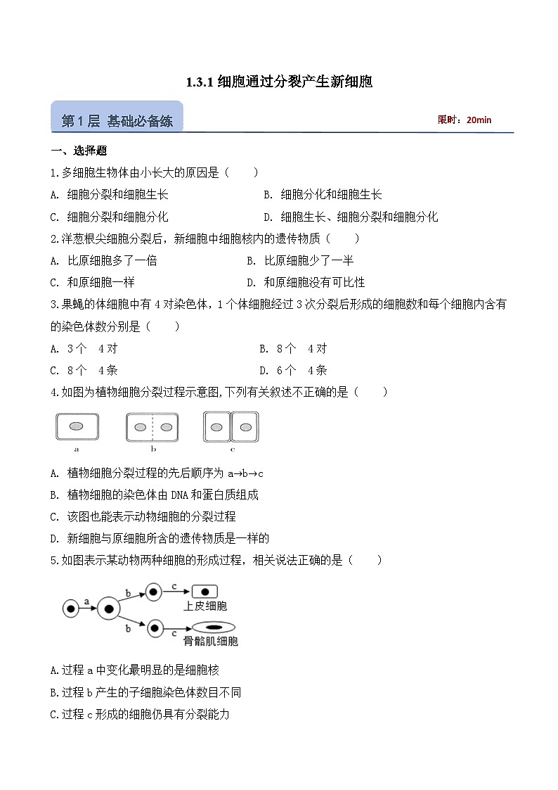 【核心素养】人教版生物七年级上册 1.3.1 细胞通过分裂产生新细胞(教学课件+同步教案+同步练习)01