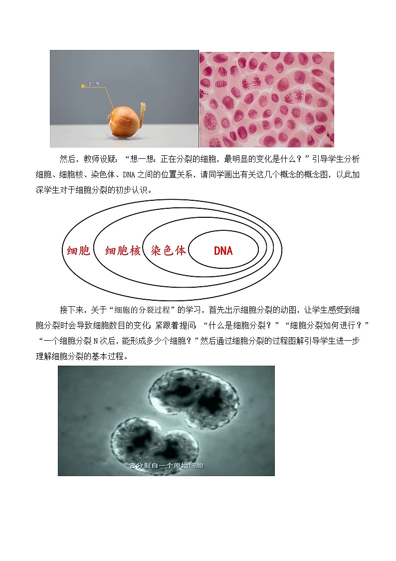 【核心素养】人教版生物七年级上册 1.3.1 细胞通过分裂产生新细胞(教学课件+同步教案+同步练习)02
