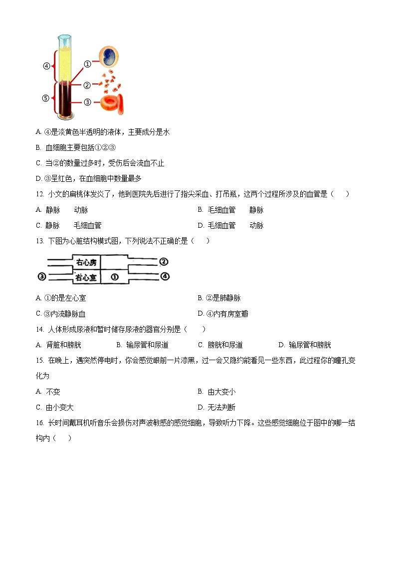 吉林省松原市乾安县2023-2024学年七年级下学期期末生物学试题(原卷版)第3页