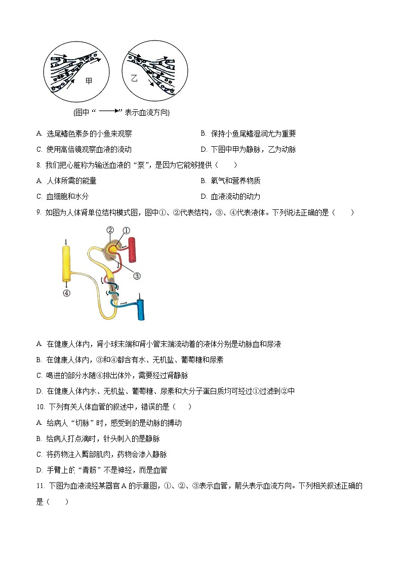 吉林省吉林市昌邑区2023-2024学年七年级下学期期末生物学试题(原卷版)第2页