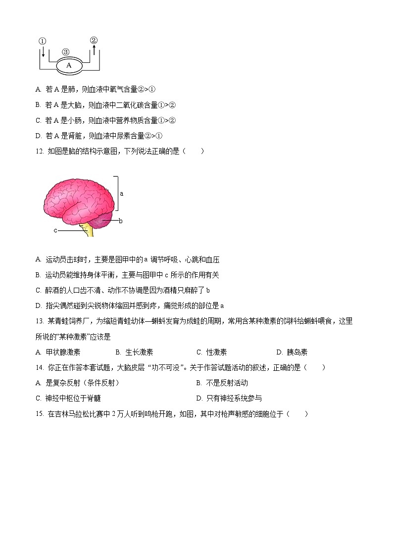 吉林省吉林市昌邑区2023-2024学年七年级下学期期末生物学试题(原卷版)第3页