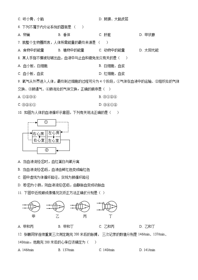 河北省廊坊市三河市2023-2024學(xué)年七年級(jí)下學(xué)期期末生物學(xué)試題（原卷版）第2頁(yè)