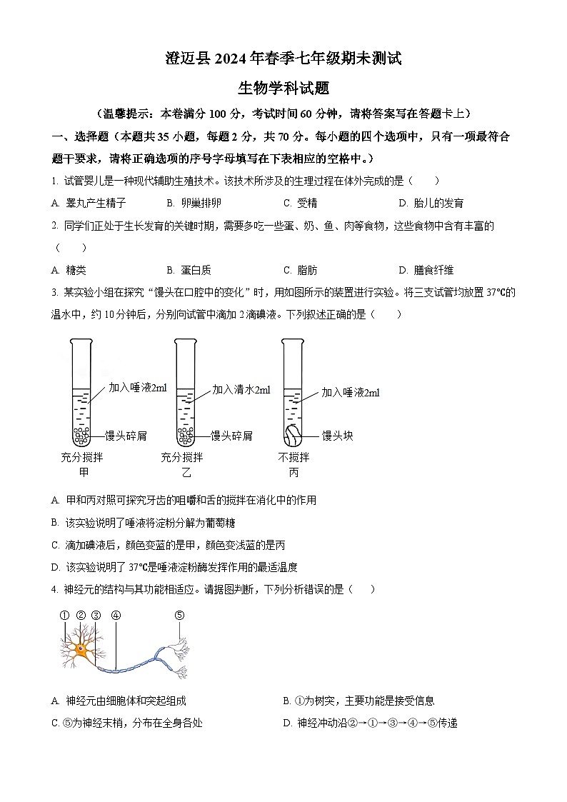 海南省省直辖县级行政单位澄迈县2023-2024学年七年级下学期期末生物学试题(原卷版)第1页