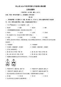 广西河池市凤山县2023-2024学年七年级下学期期末生物学试题（原卷版+解析版）