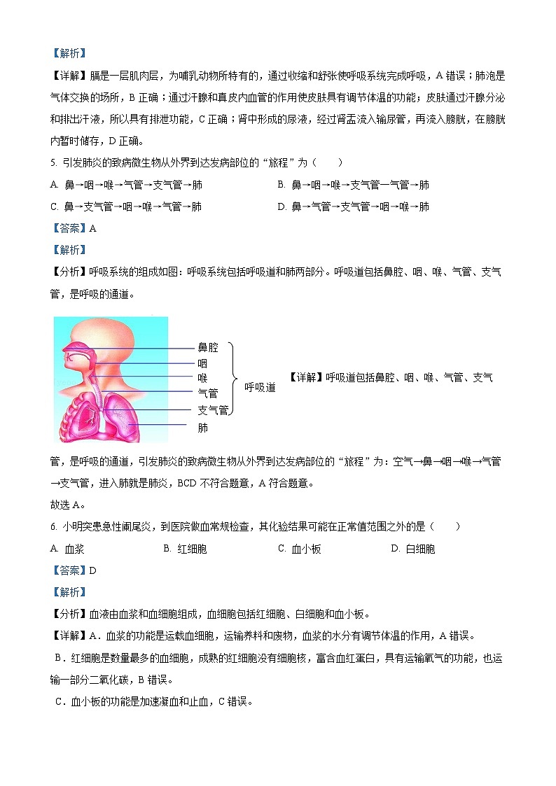 吉林省吉林市昌邑區(qū)2023-2024學(xué)年七年級(jí)下學(xué)期期末生物學(xué)試題（解析版）第3頁(yè)