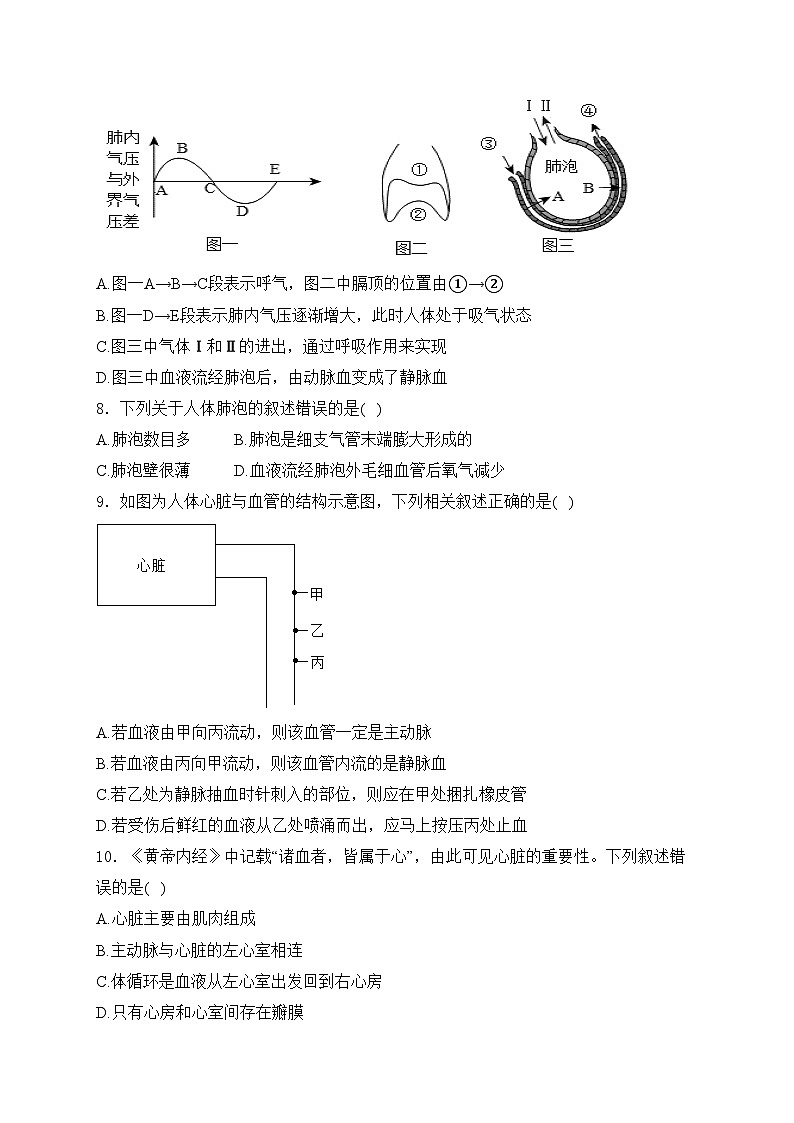湖南省张家界市慈利县2023-2024学年七年级下学期期末考试生物试卷(含答案)第3页