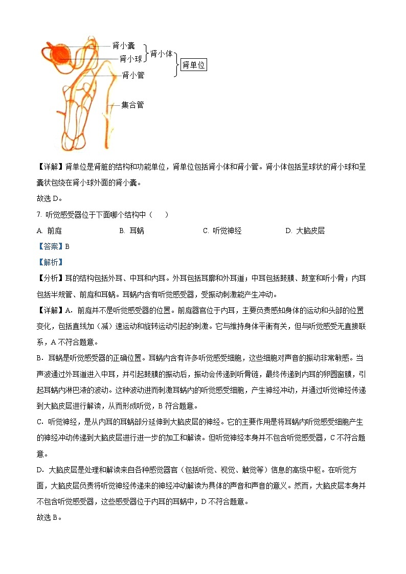 辽宁省丹东市凤城市2023-2024学年七年级下学期期末生物学试题(解析版)第3页