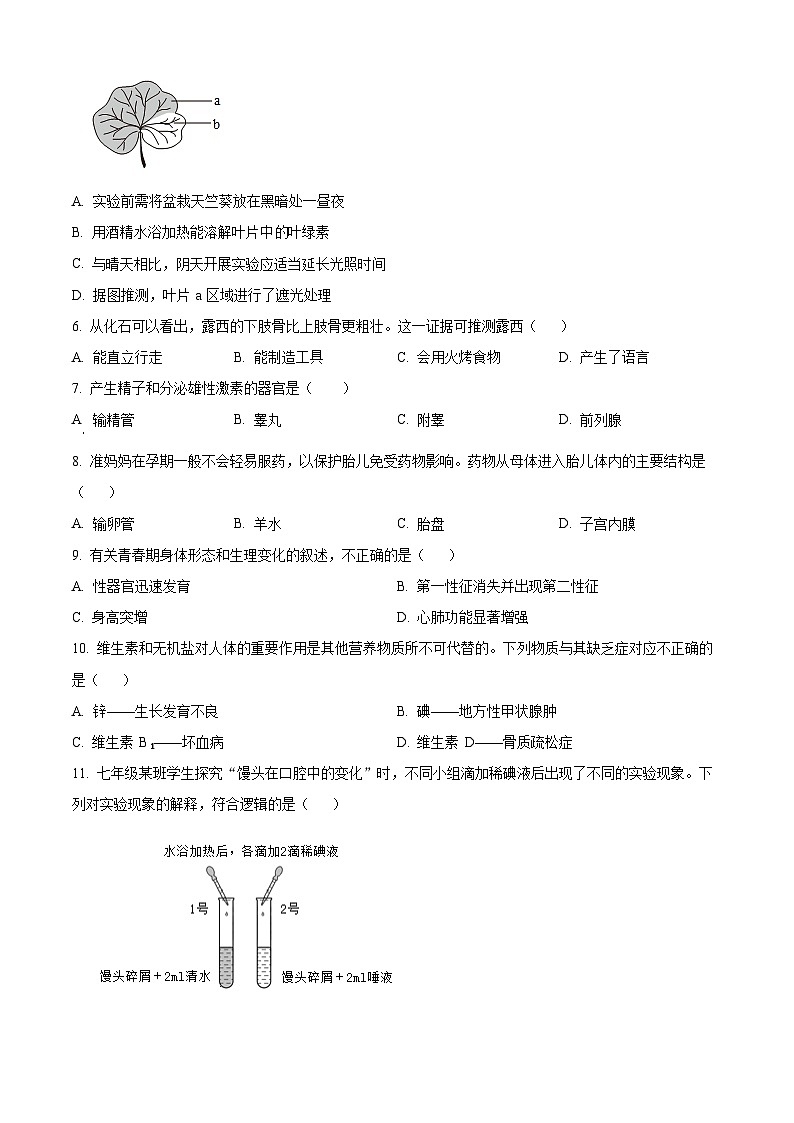 云南省昆明市官渡区2023-2024学年七年级下学期期末生物试题(原卷版)第2页