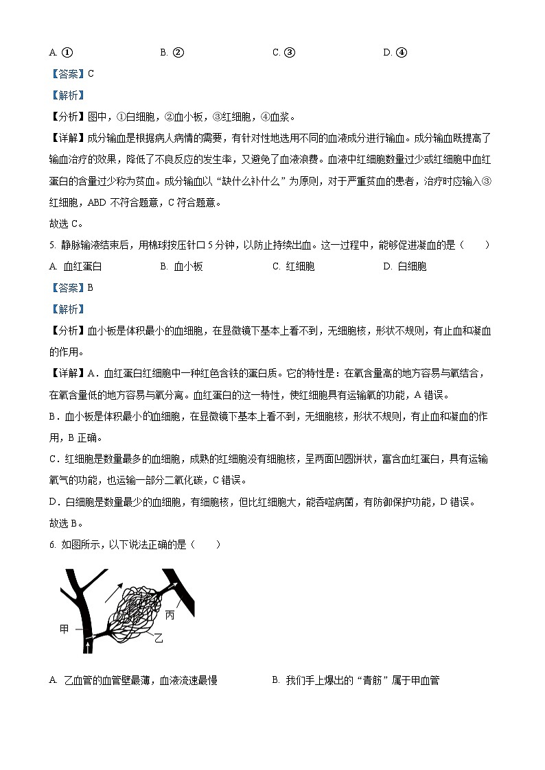 广东省肇庆市封开县2023-2024学年七年级下学期期末生物学试题(原卷版+解析版)03
