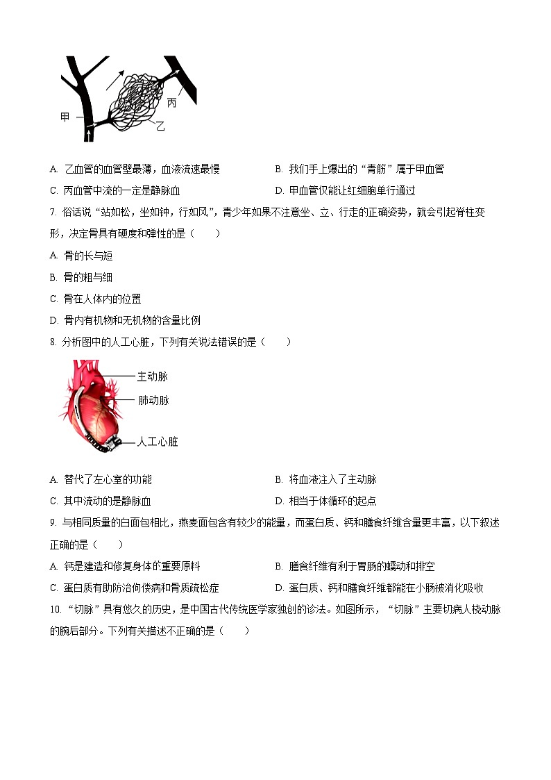 广东省肇庆市封开县2023-2024学年七年级下学期期末生物学试题(原卷版+解析版)02
