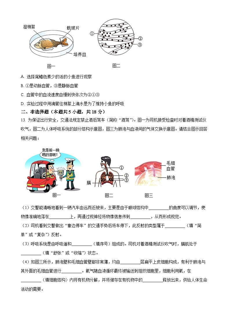 辽宁省大连市沙河口区2023-2024学年七年级下学期期末生物学试题(原卷版)第3页
