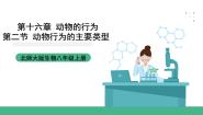 初中生物北师大版（2024）八年级上册第五单元  生物圈中的动物和微生物第16章  动物的行为第2节  动物行为的主要类型完美版ppt课件