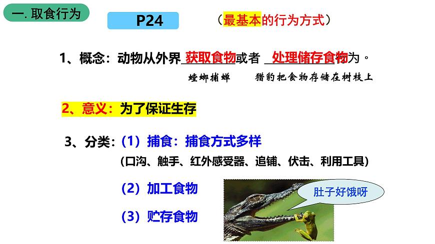 北師大版生物八上5.16.2《動(dòng)物行為的主要類型》課件第5頁