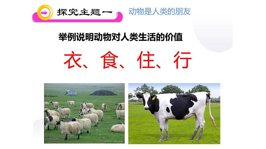 北師大版生物八上5.17.2 《我國的動物資源及保護(hù)》課件第3頁
