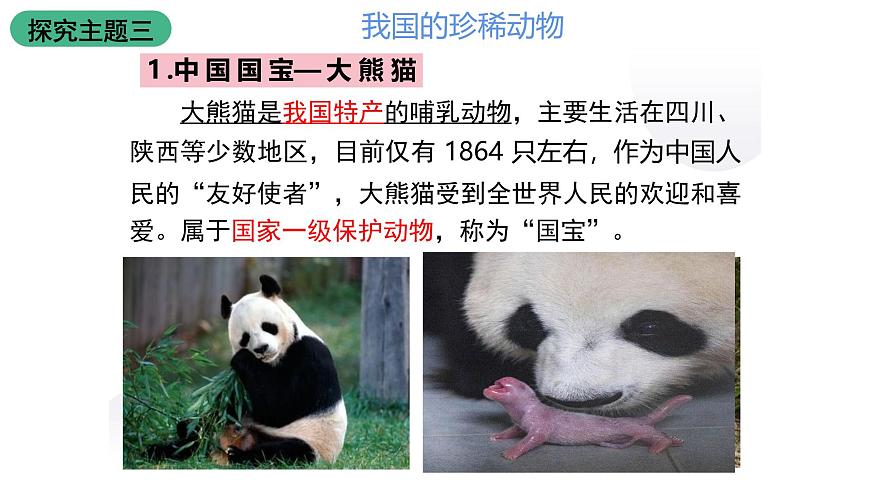 北師大版生物八上5.17.2 《我國的動物資源及保護(hù)》課件第7頁