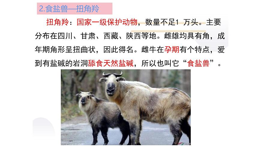 北師大版生物八上5.17.2 《我國的動物資源及保護(hù)》課件第8頁