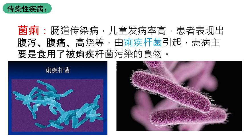 北師大版生物八上18.22《微生物與人類的關(guān)系》課件第6頁(yè)