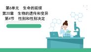 北师大版（2024）八年级上册第4节  性别和性别决定完美版ppt课件