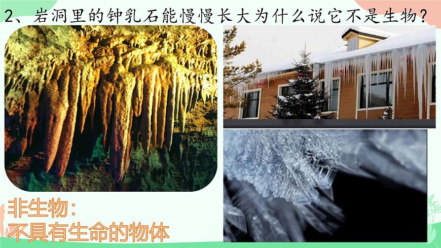 【核心素養(yǎng)】人教版初中生物七年級上冊1.1.2《生物的特征》課件第7頁