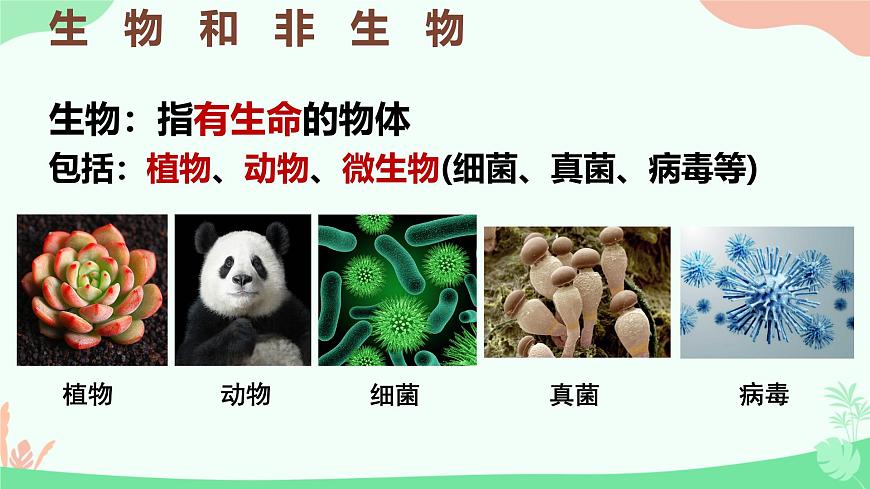 【核心素養(yǎng)】人教版初中生物七年級上冊1.1.2《生物的特征》課件第8頁