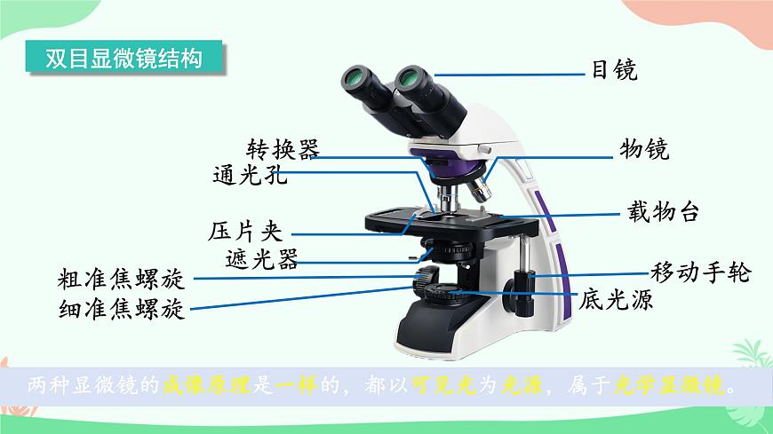 【核心素養(yǎng)】人教版初中生物七年級(jí)上冊(cè)1.2.1《學(xué)習(xí)使用顯微鏡》課件第8頁