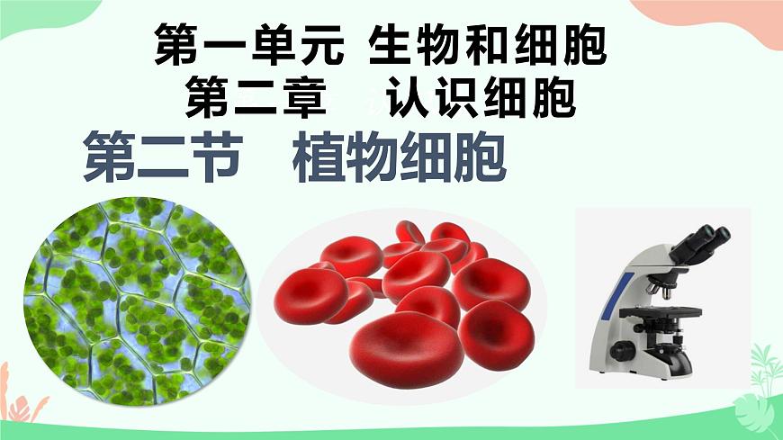 【核心素養(yǎng)】人教版初中生物七年級上冊1.2.2《植物細胞》課件第1頁