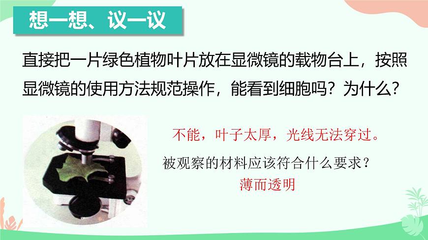 【核心素養(yǎng)】人教版初中生物七年級上冊1.2.2《植物細胞》課件第3頁