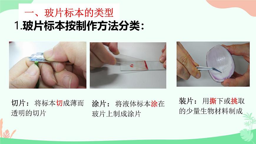【核心素養(yǎng)】人教版初中生物七年級上冊1.2.2《植物細胞》課件第4頁