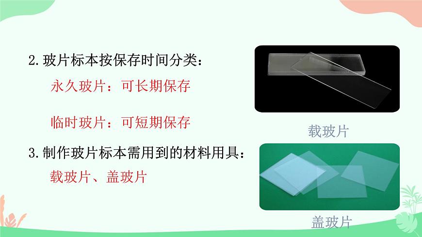 【核心素養(yǎng)】人教版初中生物七年級上冊1.2.2《植物細胞》課件第5頁