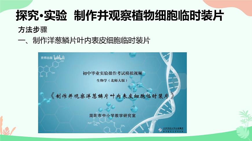 【核心素養(yǎng)】人教版初中生物七年級上冊1.2.2《植物細胞》課件第7頁