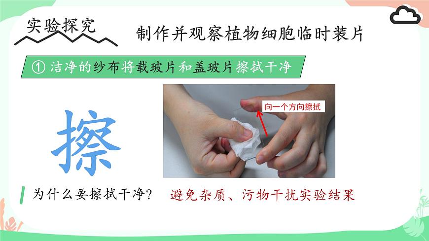 【核心素養(yǎng)】人教版初中生物七年級上冊1.2.2《植物細胞》課件第8頁