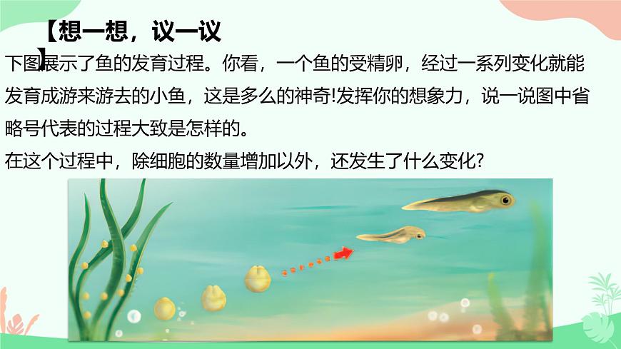 【核心素養(yǎng)】人教版初中生物七年級上冊1.3.2《動物體的結構層次》課件第3頁