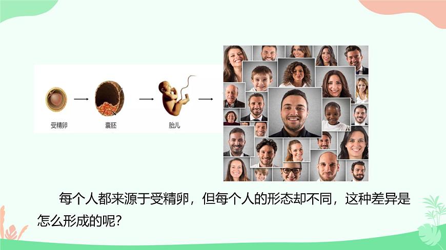 【核心素養(yǎng)】人教版初中生物七年級上冊1.3.2《動物體的結構層次》課件第5頁