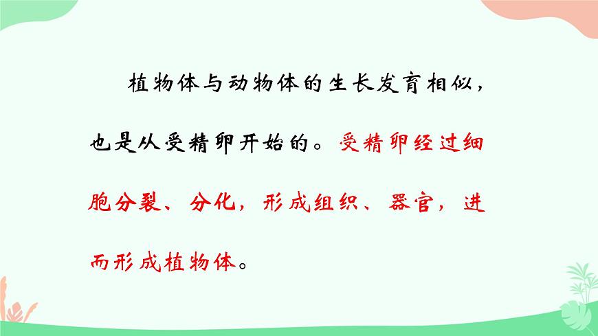 【核心素養(yǎng)】人教版初中生物七年級上冊1.3.3《植物體的結(jié)構(gòu)層次》課件第4頁