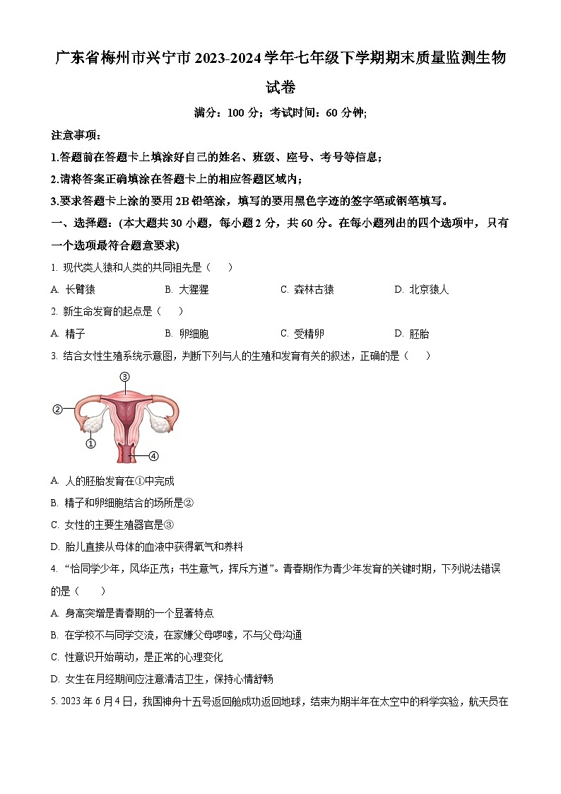 广东省梅州市兴宁市2023-2024学年七年级下学期期末生物学试题(原卷版+解析版)01