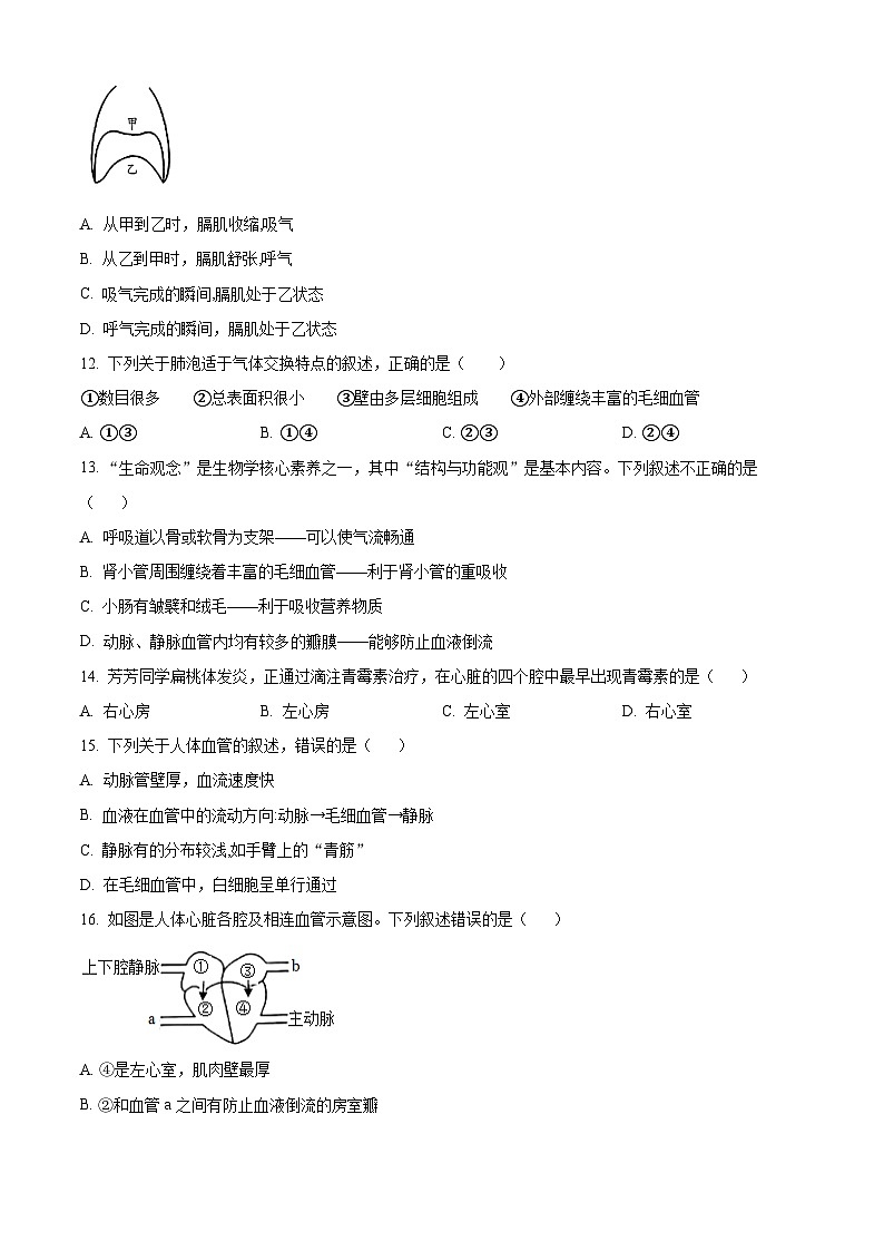 广东省梅州市兴宁市2023-2024学年七年级下学期期末生物学试题(原卷版+解析版)03