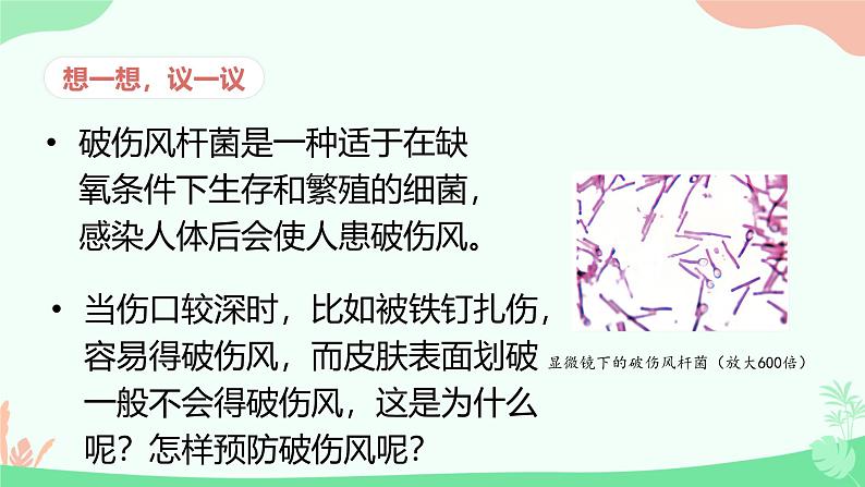【核心素养】人教版初中生物七年级上册2.3.2《细菌》课件+教案(含教学反思)+学案04