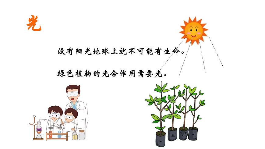 蘇教版生物七上1.1.2《生物與環(huán)境的關系》課件第6頁