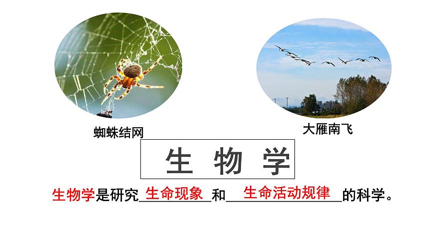 蘇教版生物七上1.1.3《我們身邊的生物學(xué)》課件第4頁