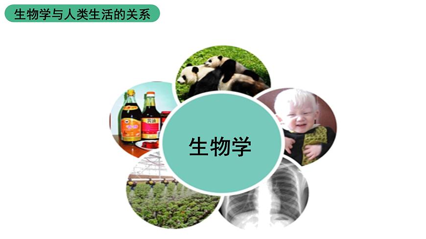 蘇教版生物七上1.1.3《我們身邊的生物學(xué)》課件第5頁