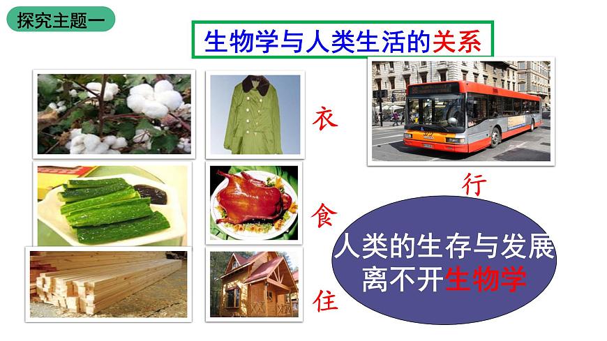 蘇教版生物七上1.1.3《我們身邊的生物學(xué)》課件第6頁