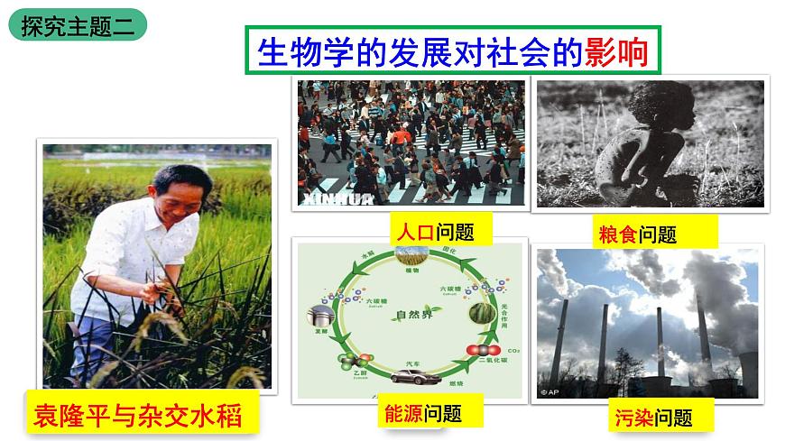 蘇教版生物七上1.1.3《我們身邊的生物學(xué)》課件第7頁