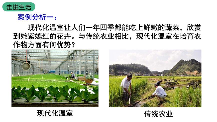 蘇教版生物七上1.1.3《我們身邊的生物學(xué)》課件第8頁