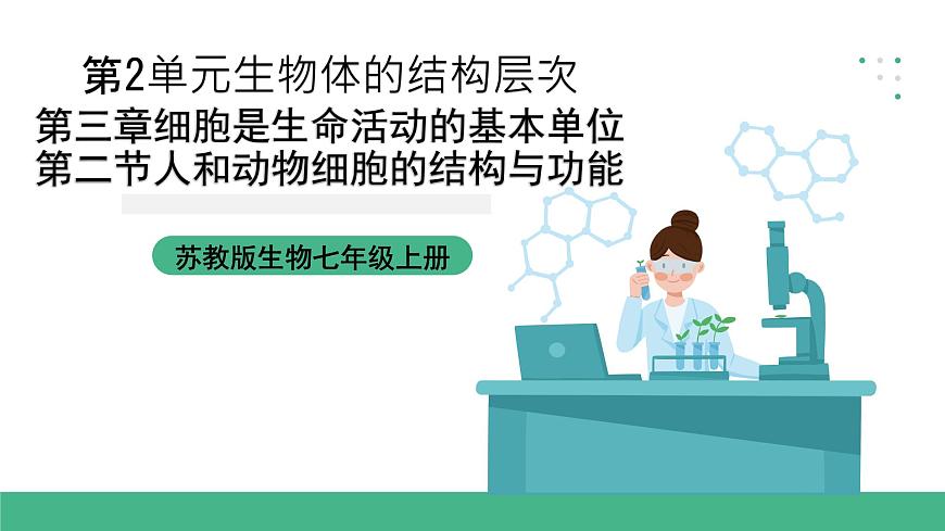 蘇教版生物七上2.3.2《人和動物細胞的結(jié)構(gòu)和功能》課件第1頁