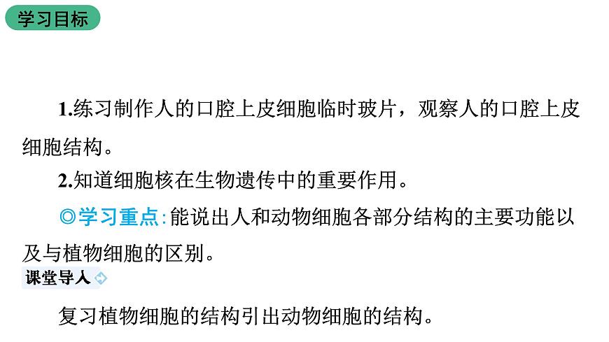蘇教版生物七上2.3.2《人和動物細胞的結(jié)構(gòu)和功能》課件第2頁