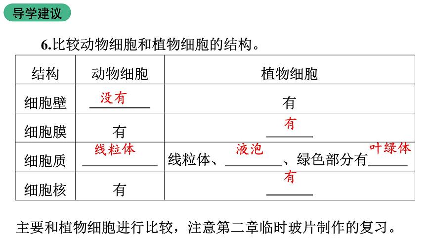 蘇教版生物七上2.3.2《人和動物細胞的結(jié)構(gòu)和功能》課件第6頁