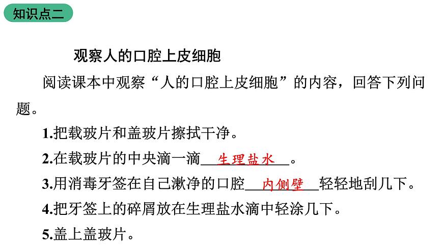 蘇教版生物七上2.3.2《人和動物細胞的結(jié)構(gòu)和功能》課件第7頁