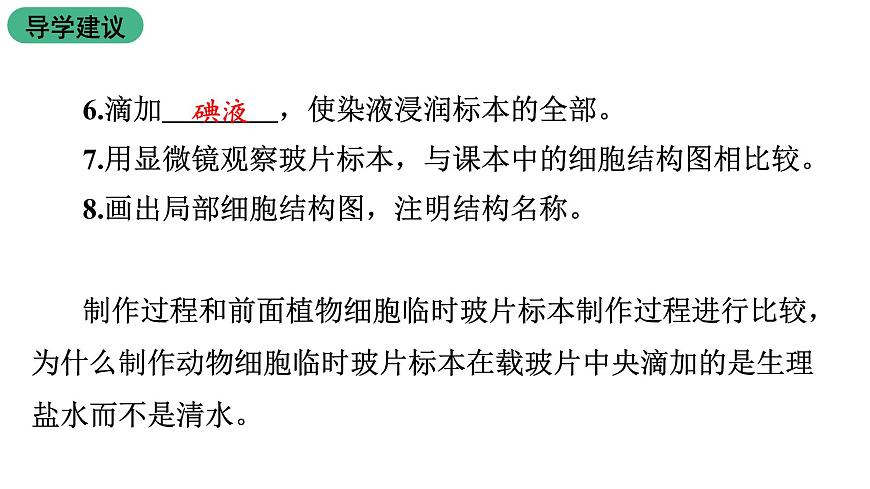 蘇教版生物七上2.3.2《人和動物細胞的結(jié)構(gòu)和功能》課件第8頁