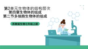 初中生物苏教版（2024）七年级上册第二节 多细胞生物体的组成评优课ppt课件